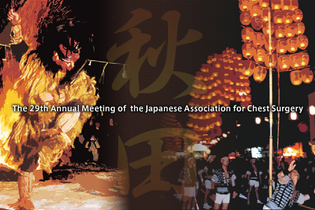 The 29th Annual Meeting