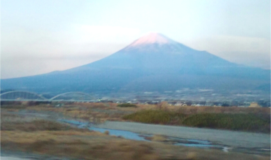 日本呼吸器外科学会：トップページ